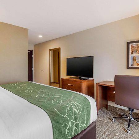 Comfort Inn & Suites Schenectady - Scotia Екстериор снимка