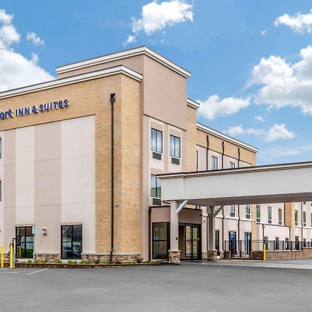 Comfort Inn & Suites Schenectady - Scotia Екстериор снимка