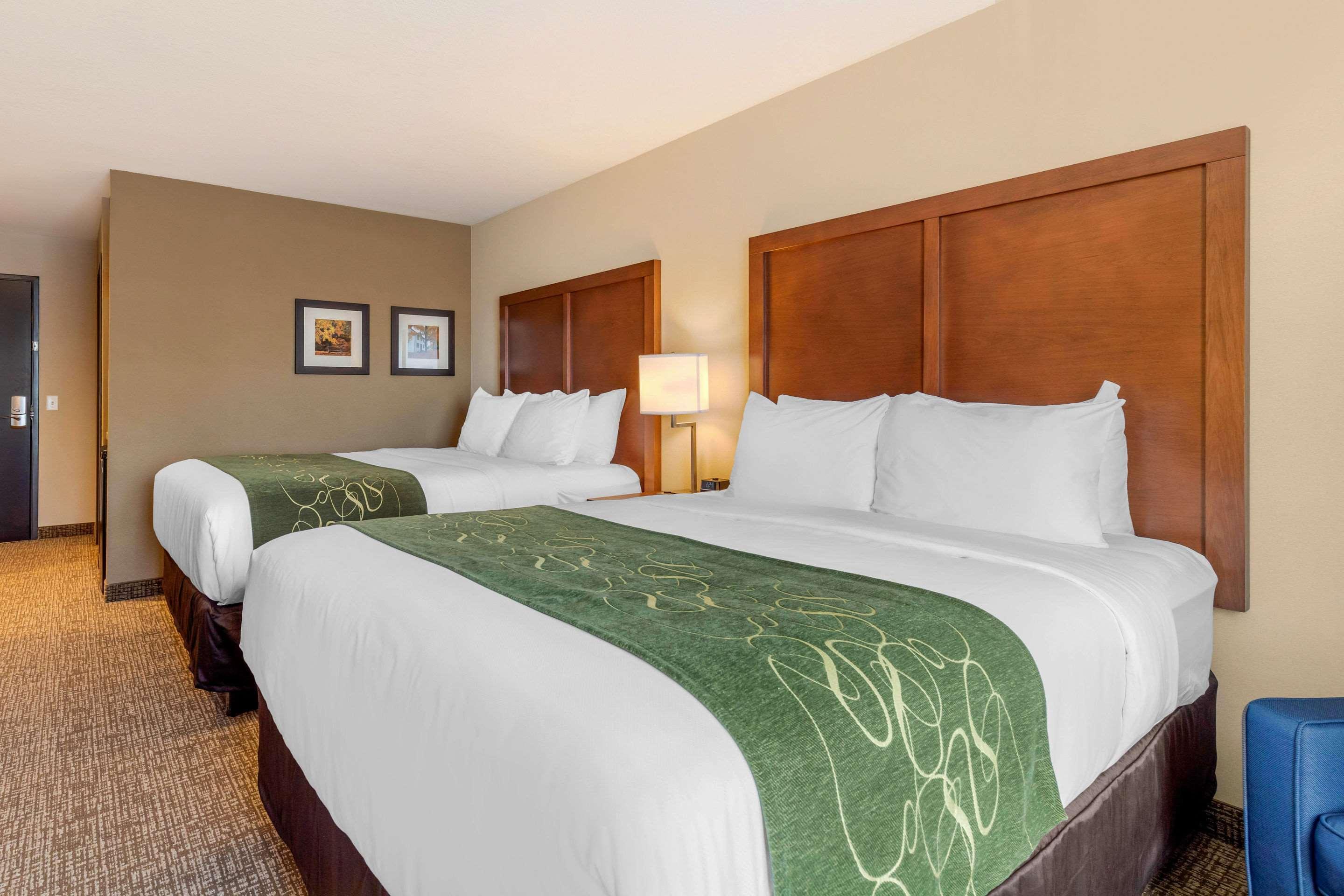 Comfort Inn & Suites Schenectady - Scotia Екстериор снимка