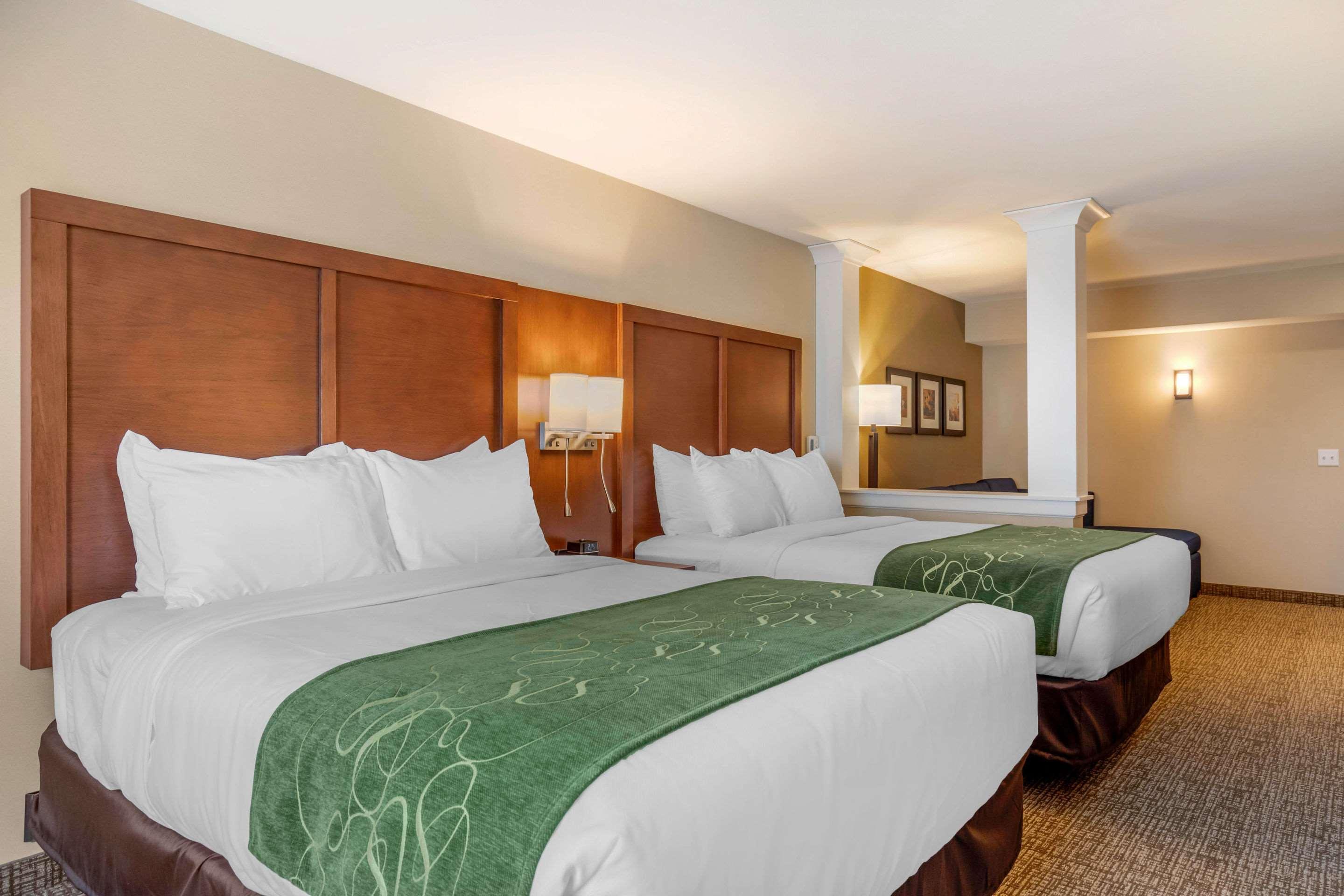 Comfort Inn & Suites Schenectady - Scotia Екстериор снимка