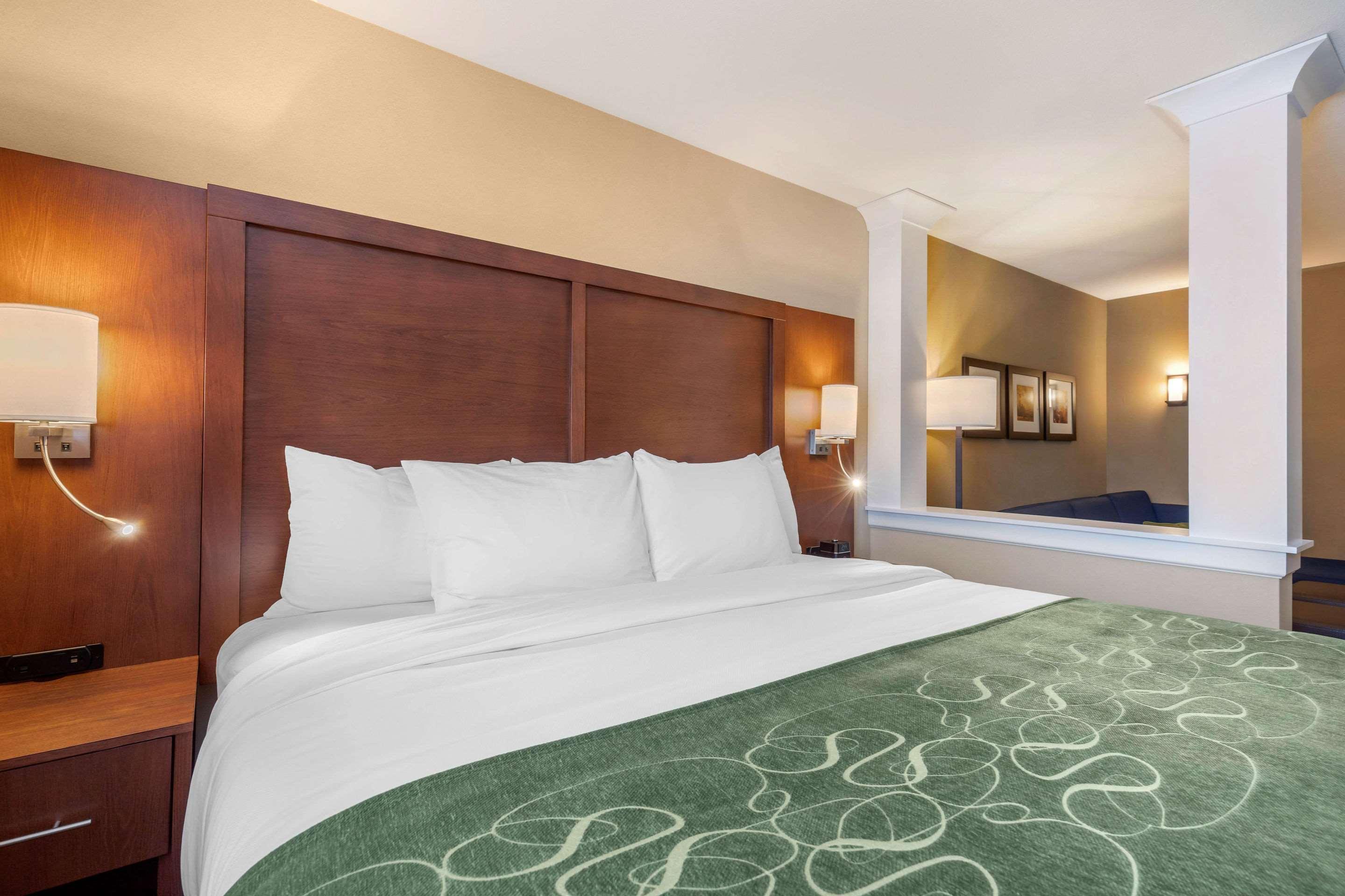 Comfort Inn & Suites Schenectady - Scotia Екстериор снимка