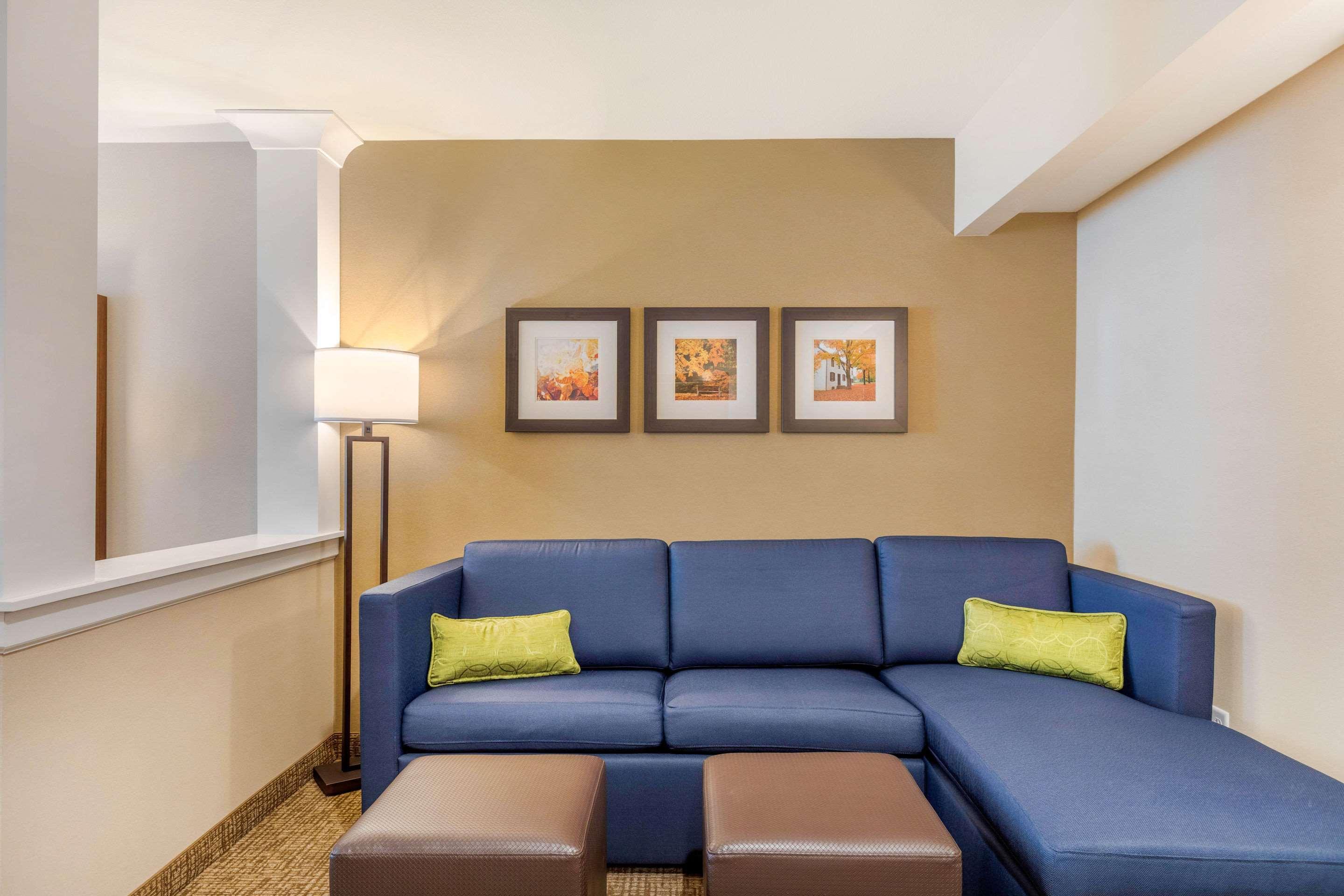 Comfort Inn & Suites Schenectady - Scotia Екстериор снимка