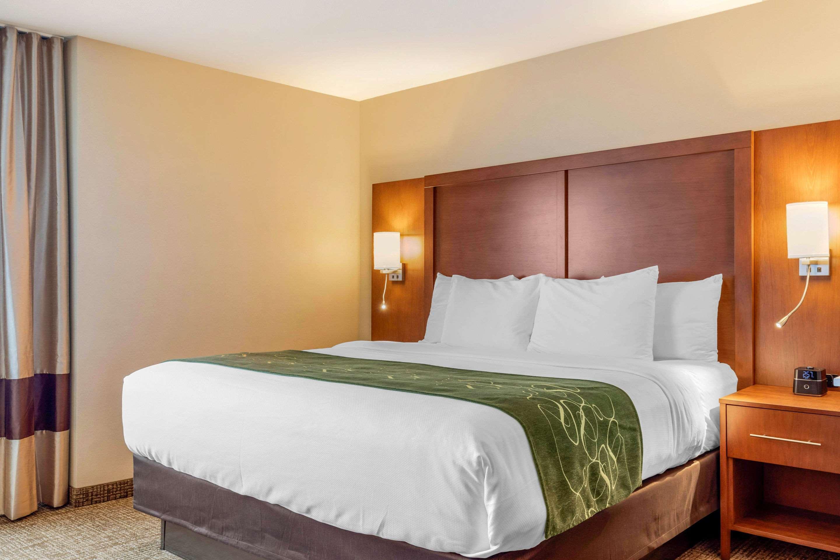 Comfort Inn & Suites Schenectady - Scotia Екстериор снимка