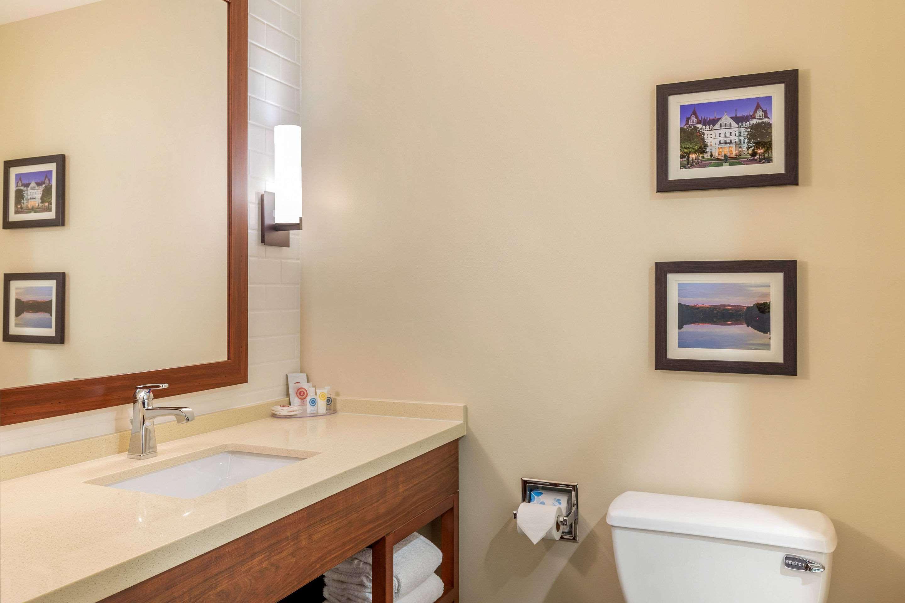 Comfort Inn & Suites Schenectady - Scotia Екстериор снимка