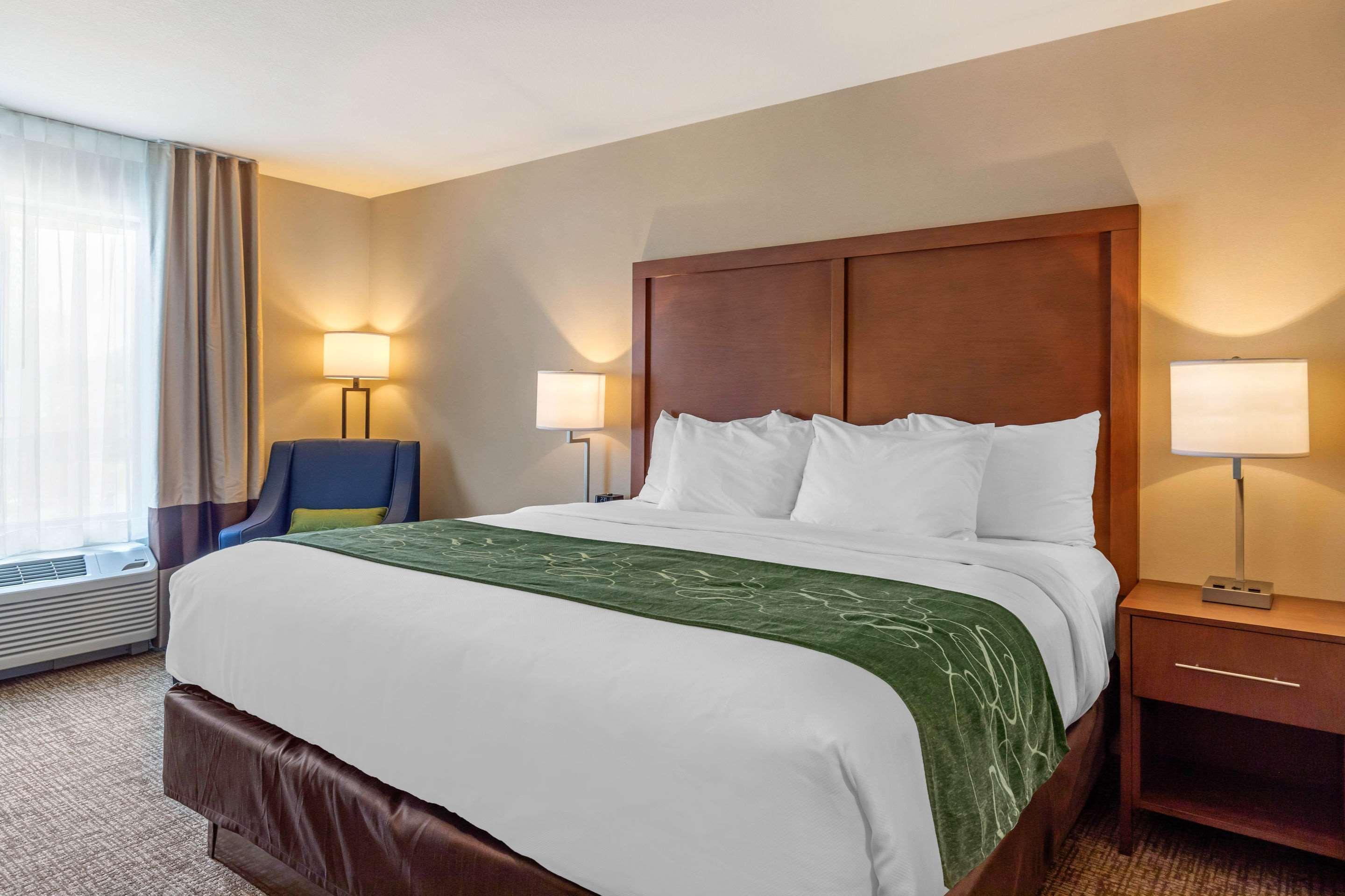 Comfort Inn & Suites Schenectady - Scotia Екстериор снимка