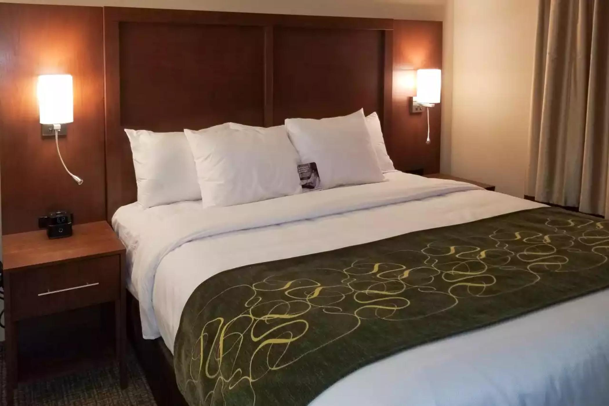 Comfort Inn & Suites Schenectady - Scotia Екстериор снимка