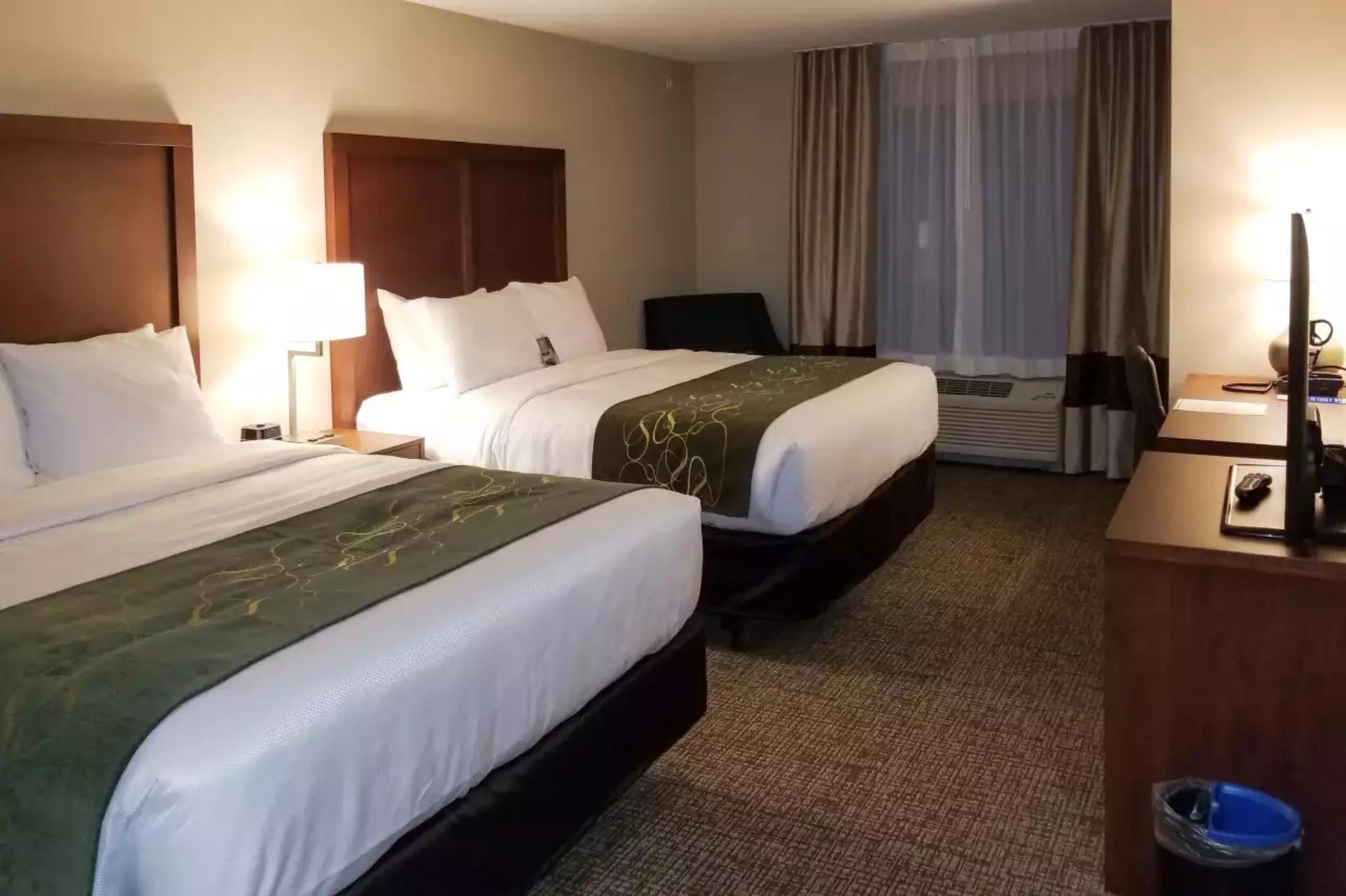Comfort Inn & Suites Schenectady - Scotia Екстериор снимка