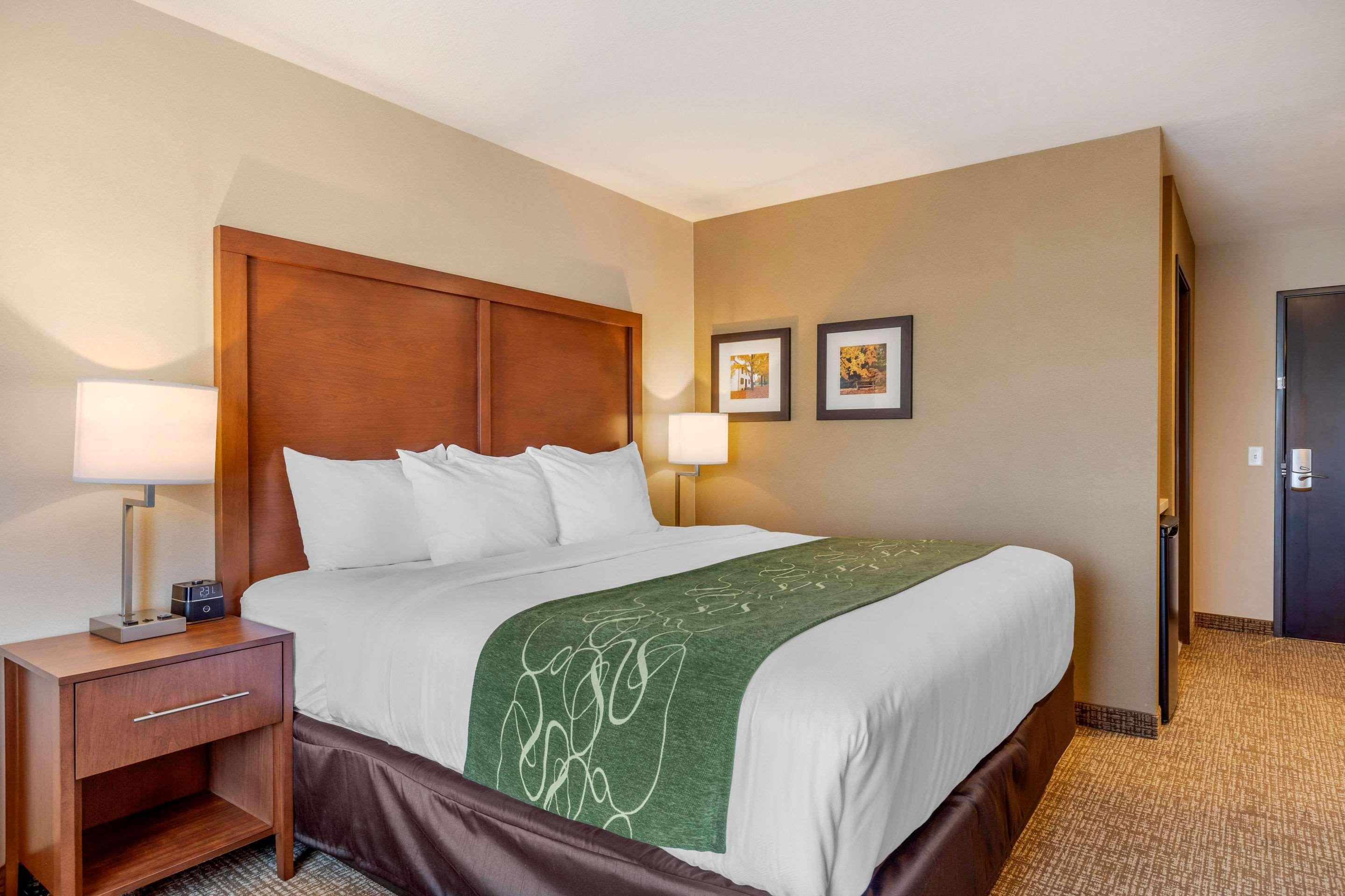 Comfort Inn & Suites Schenectady - Scotia Екстериор снимка