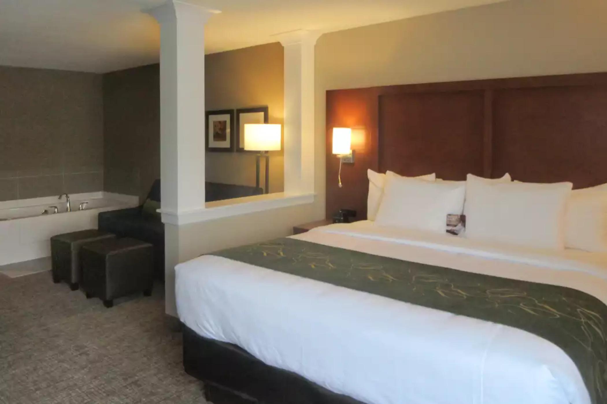Comfort Inn & Suites Schenectady - Scotia Екстериор снимка