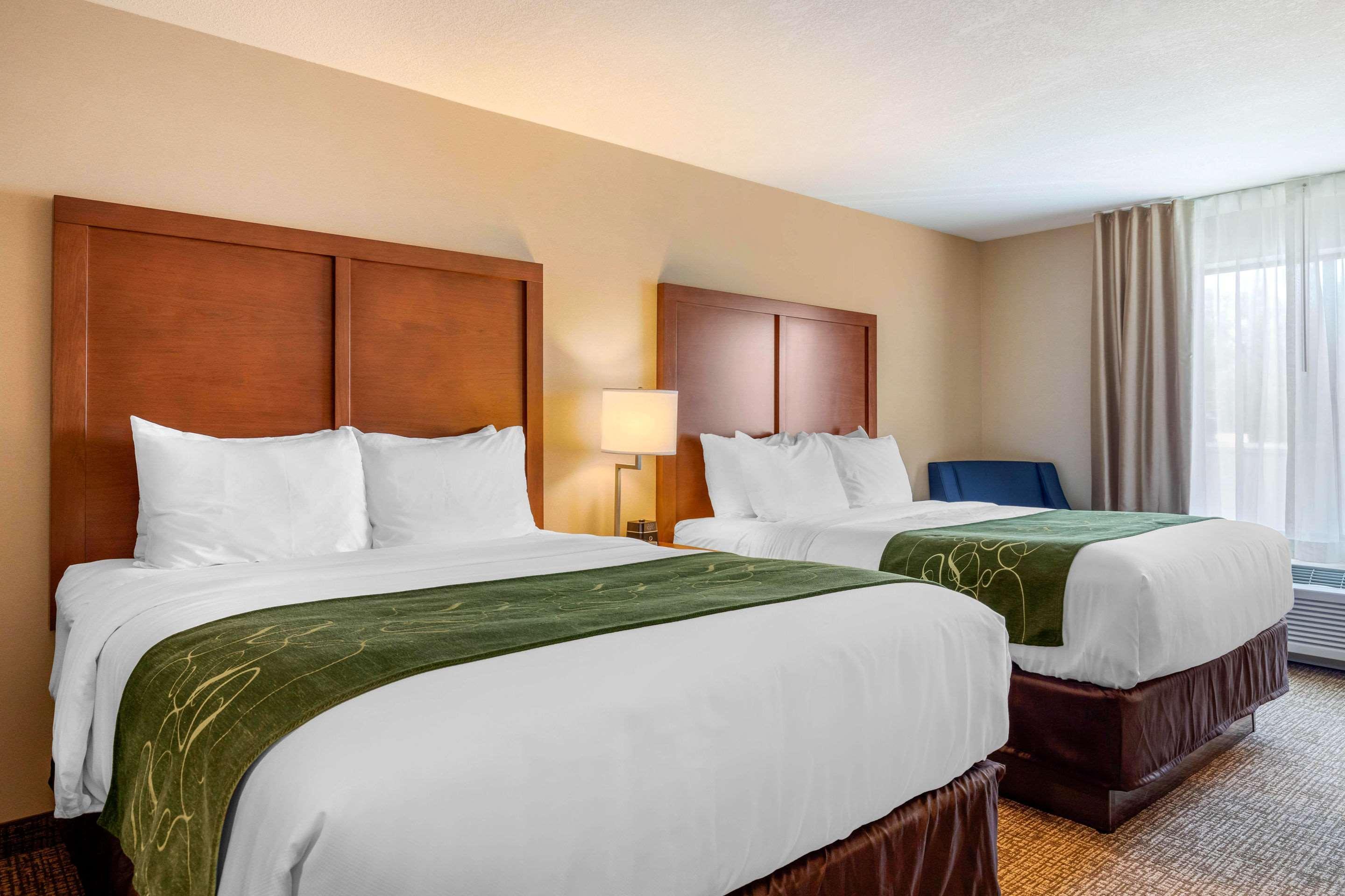 Comfort Inn & Suites Schenectady - Scotia Екстериор снимка