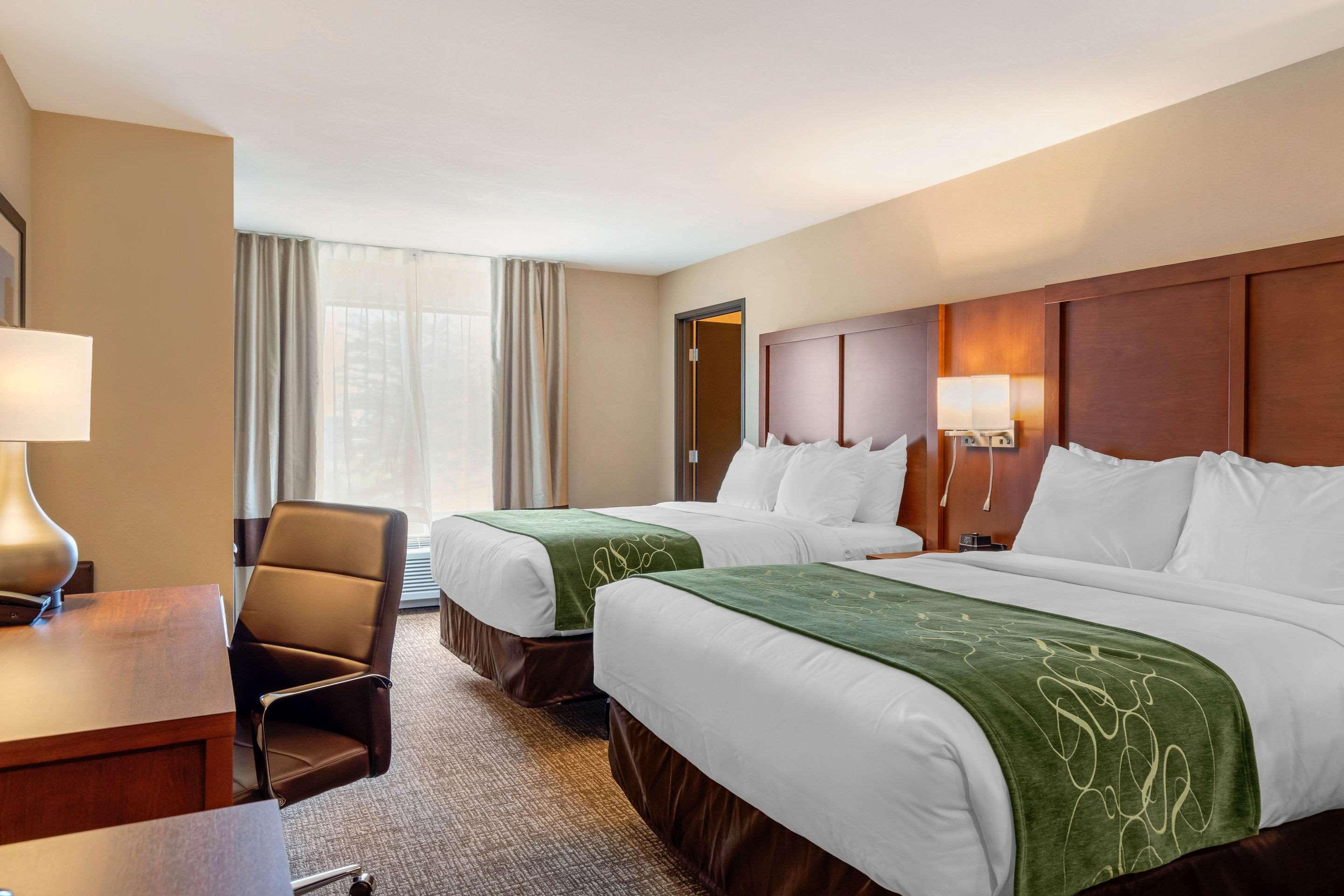 Comfort Inn & Suites Schenectady - Scotia Екстериор снимка