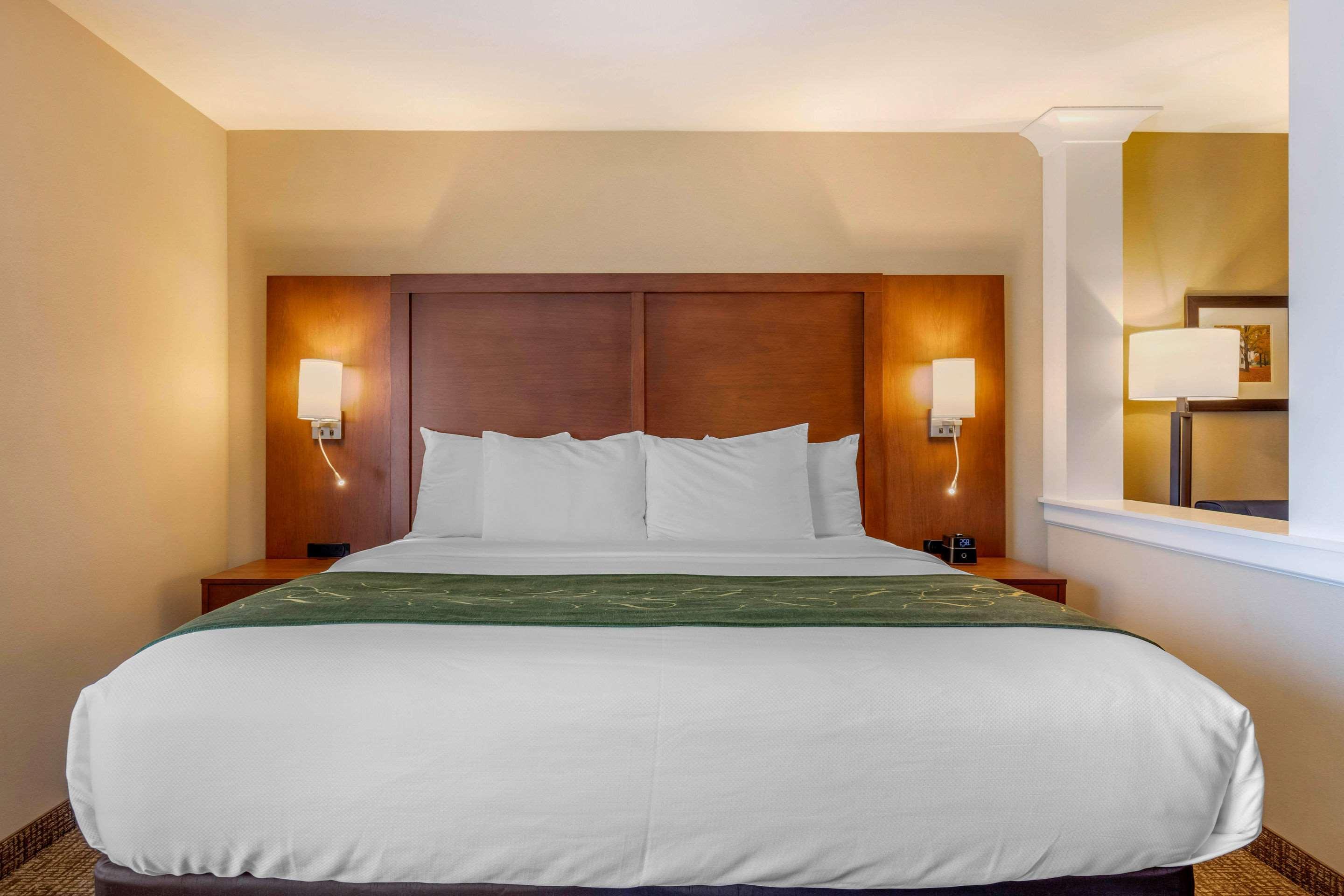 Comfort Inn & Suites Schenectady - Scotia Екстериор снимка