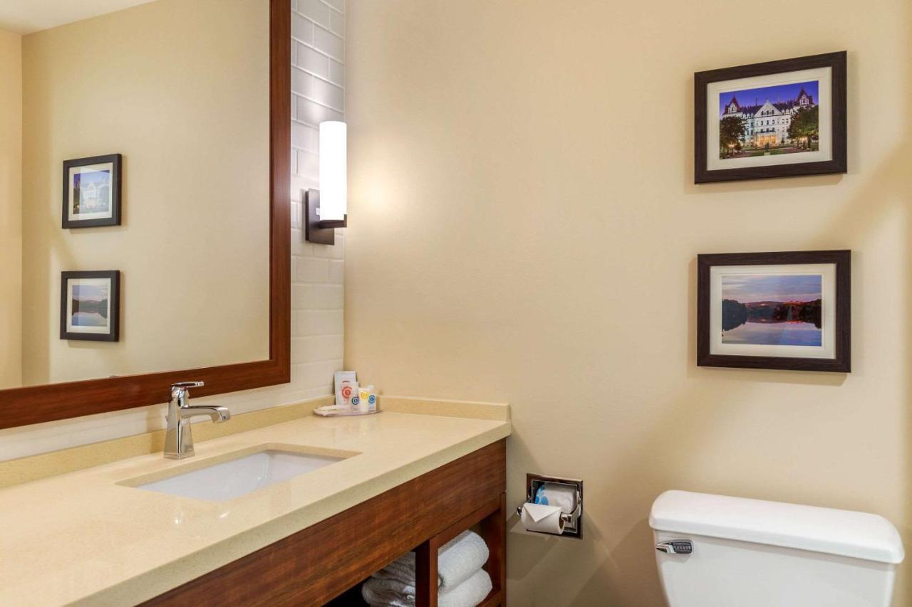 Comfort Inn & Suites Schenectady - Scotia Екстериор снимка