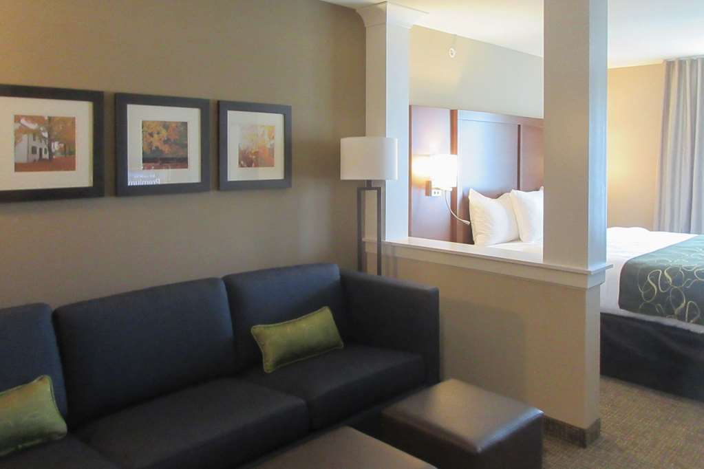 Comfort Inn & Suites Schenectady - Scotia Стая снимка