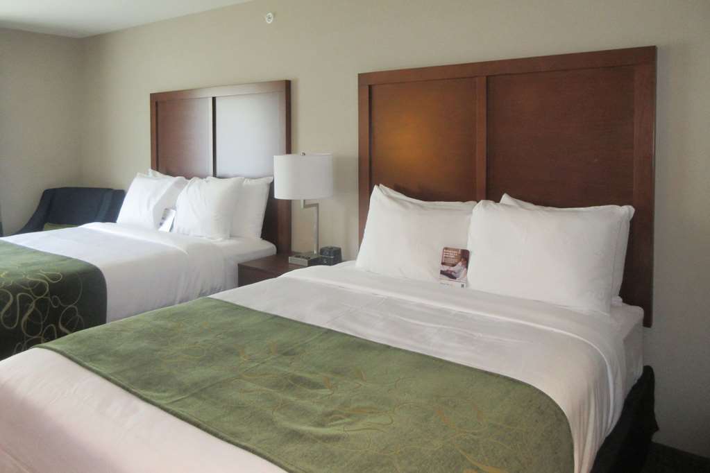 Comfort Inn & Suites Schenectady - Scotia Стая снимка